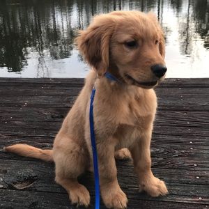 Meet your Posher, Aubry-stephens